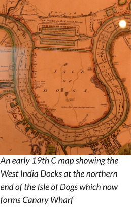 An early 19th C map showing the West India Docks at the northern end of the Isle of Dogs which now forms Canary Wharf